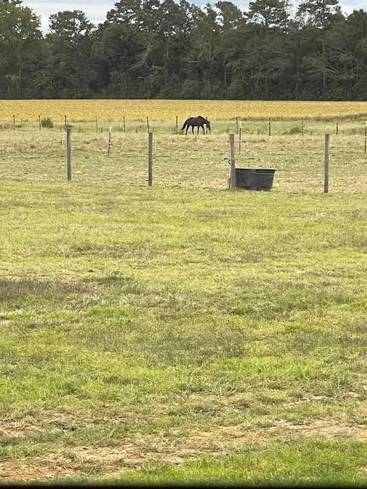 New Height Acres 8