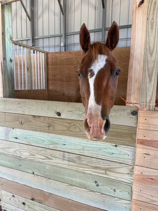 New Height Acres 4