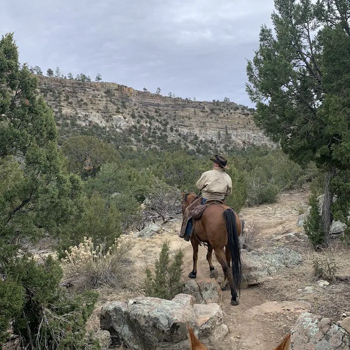 Oil Well Flats Trail System 5