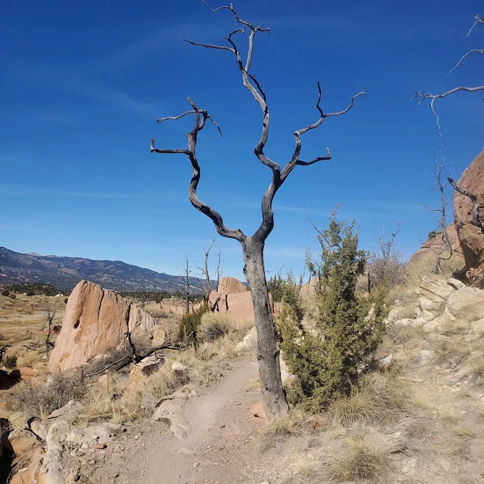 Oil Well Flats Trail System 9