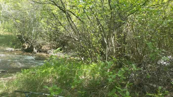 Cotton Creek Trail Head 2