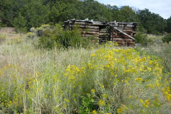 Cotton Creek Trail Head 6