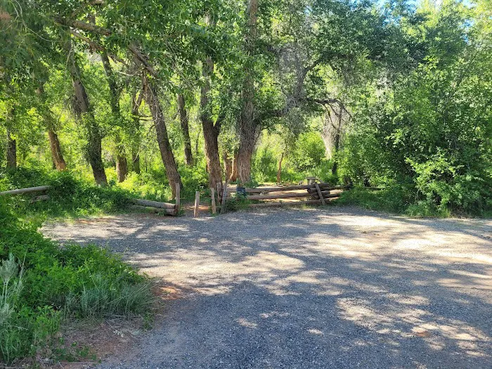 Dominguez Campground 4