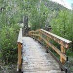 Dominguez Campground