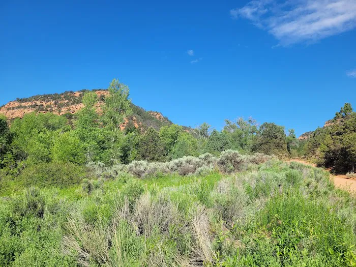 Dominguez Campground 7
