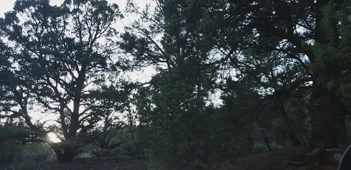 Dominguez Campground 8