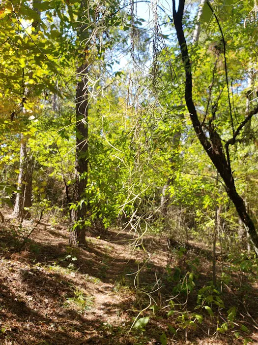 Bodcau Campgrounds 6