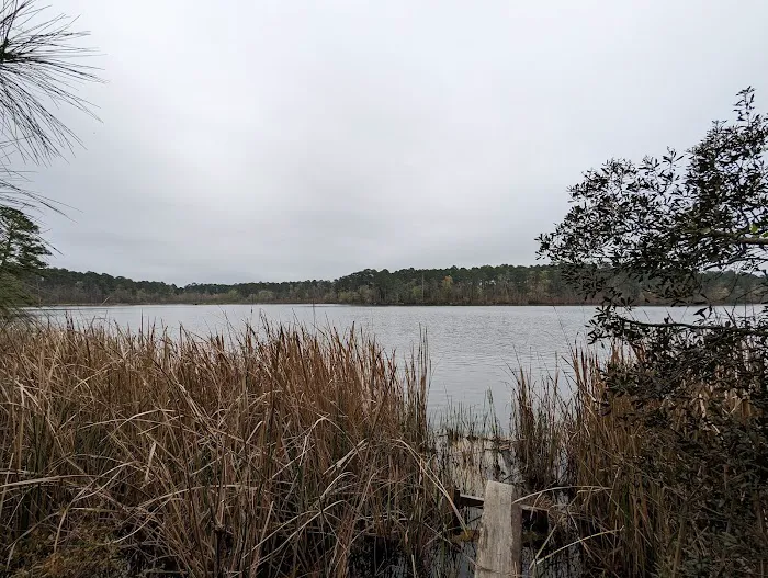 Beaver Dam Campground 8