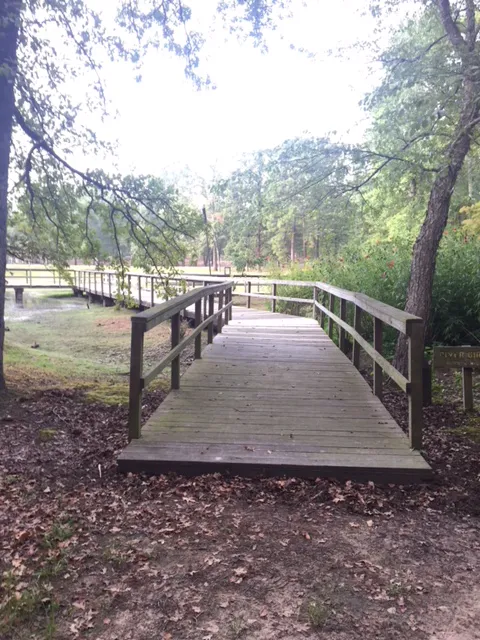 Cypress Black Bayou Recreation and Water Conservation District 8
