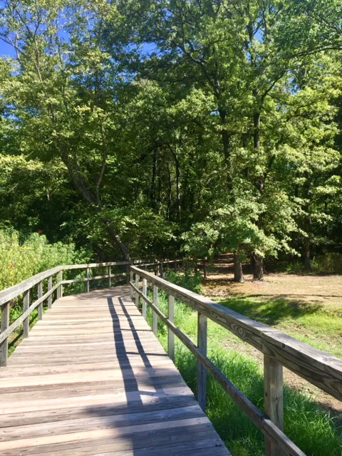 Cypress Black Bayou Recreation and Water Conservation District 2