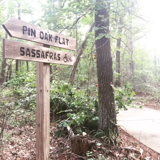 Cypress Black Bayou Recreation and Water Conservation District 5