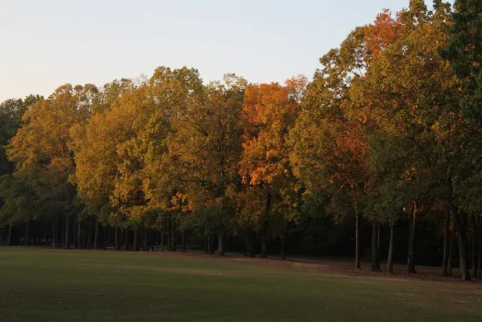 Cypress Black Bayou Recreation and Water Conservation District 6
