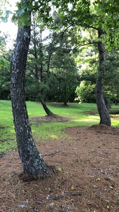 Hilltop Campgrounds 9
