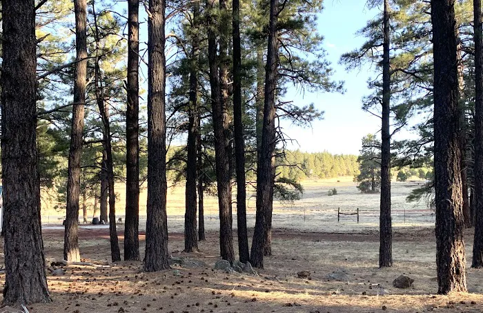 Light On The Mountain Campground 8