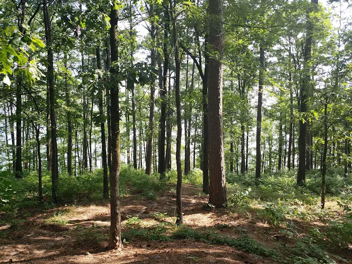 Iron Mountain COE 3