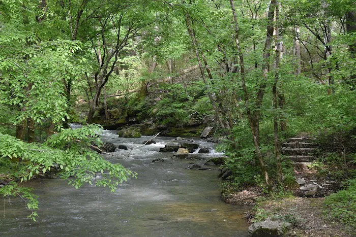Sylamore Ranger District Office 3