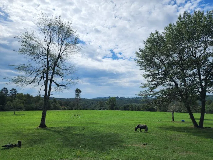 Rockin' T Ranch 7
