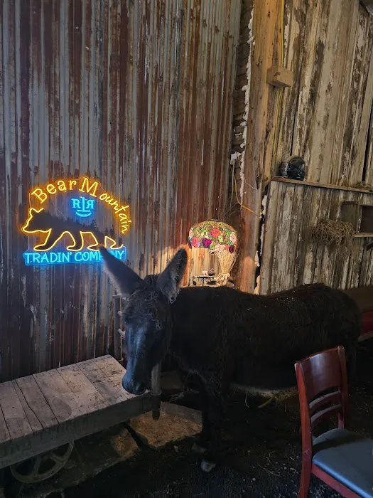 Rockin' T Ranch 8