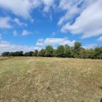 Campbell Rd Eclipse Campgrounds