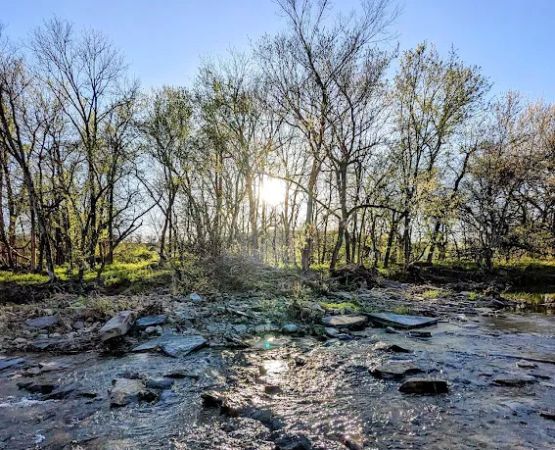 Valley View Glamping and RV Resort