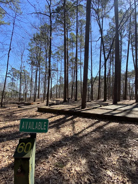 Campsite #60 0