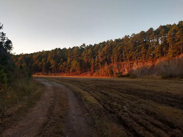 Iron Mountain Campground 5