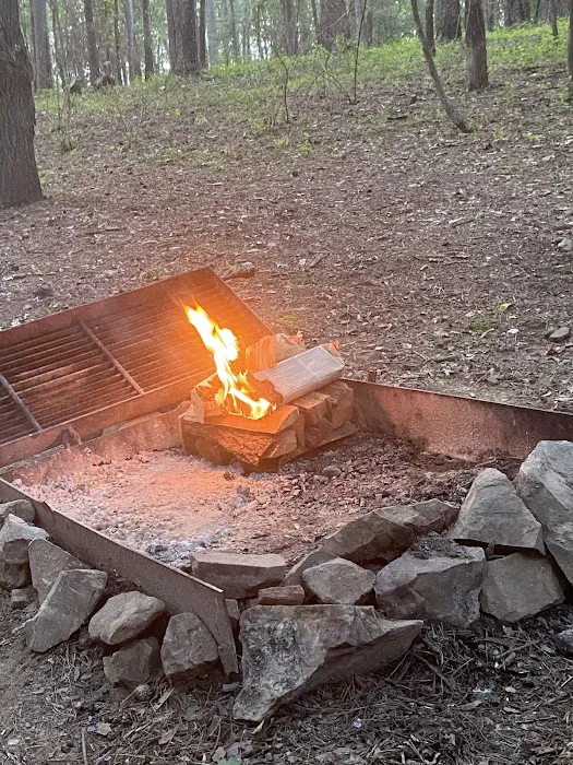 Campsite #81 1