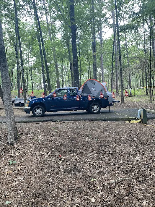 Campsite #81 8