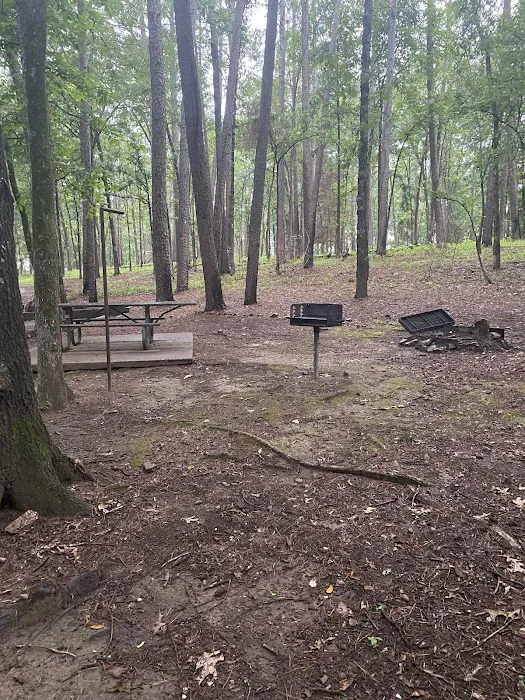 Campsite #81 6