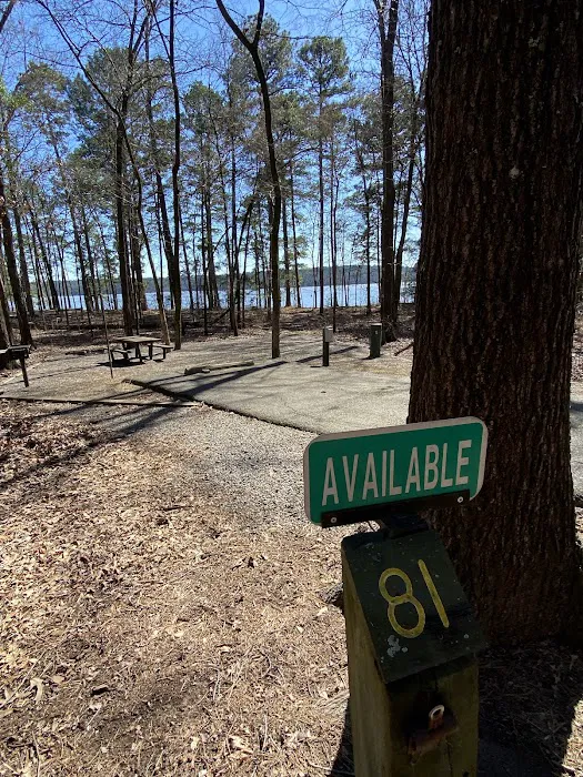 Campsite #81 9