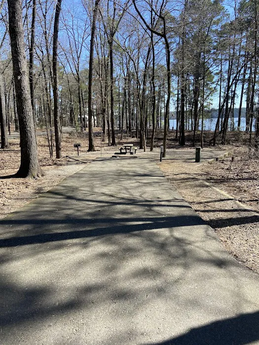 Campsite #81 5