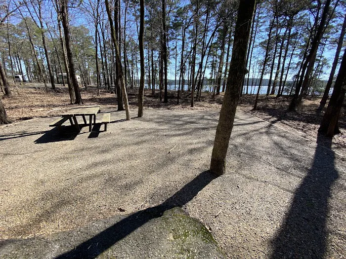 Campsite #81 2