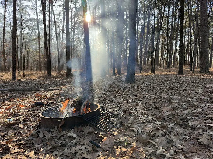 Caddo Drive Campground 6
