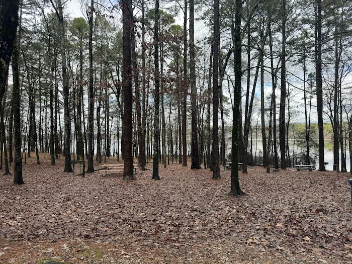 Caddo Drive Campground 7