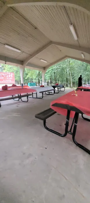 Pavilion #1 - Next to playground 0