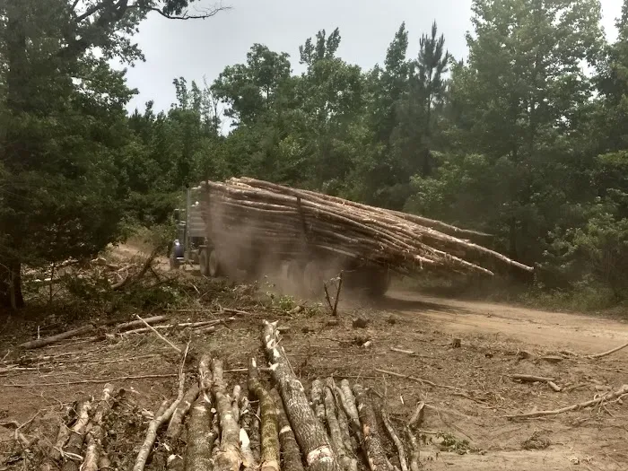 Brushy Creek Campground 0