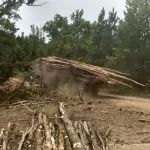 Brushy Creek Campground