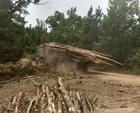 Brushy Creek Campground