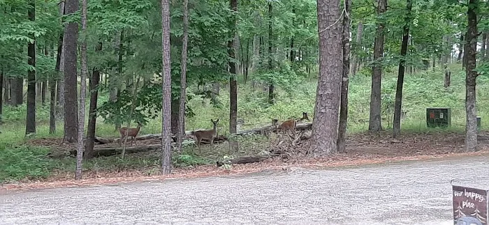 Brushy Creek Campground 2