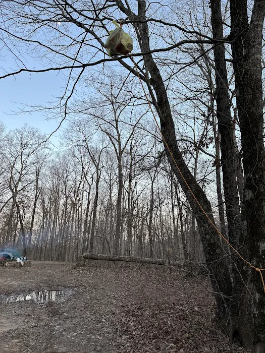 Walkingstick Ridge 3