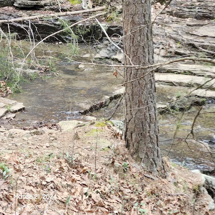 Quail Valley 7