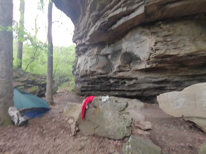 Quail Valley 4