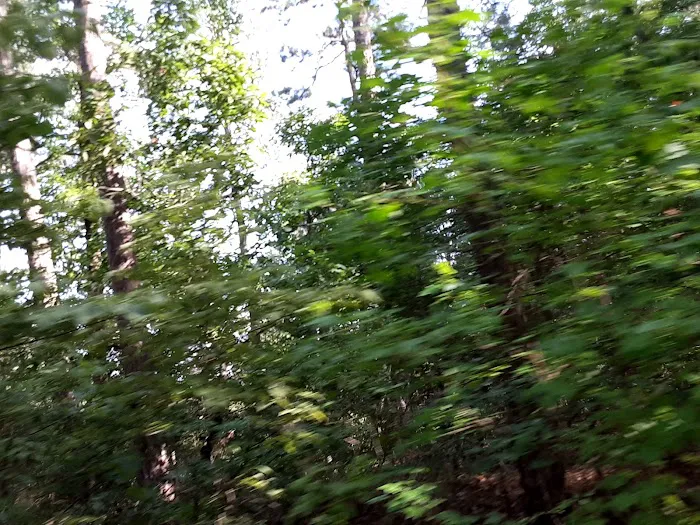 Jack Creek Recreation Area 1