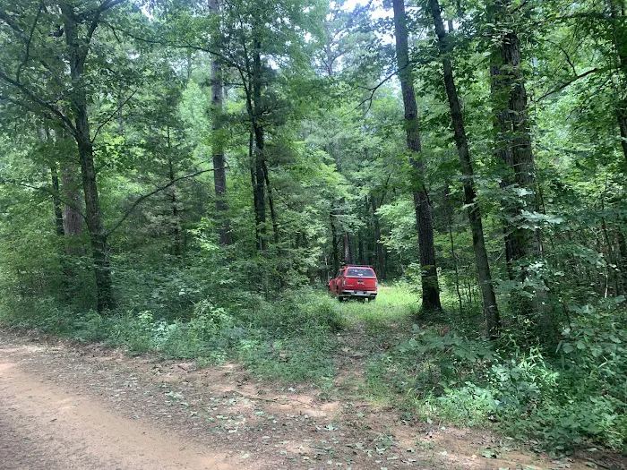 Jack Creek Recreation Area 7