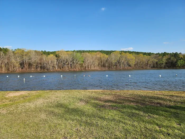 Little Pines Recreation Area 3