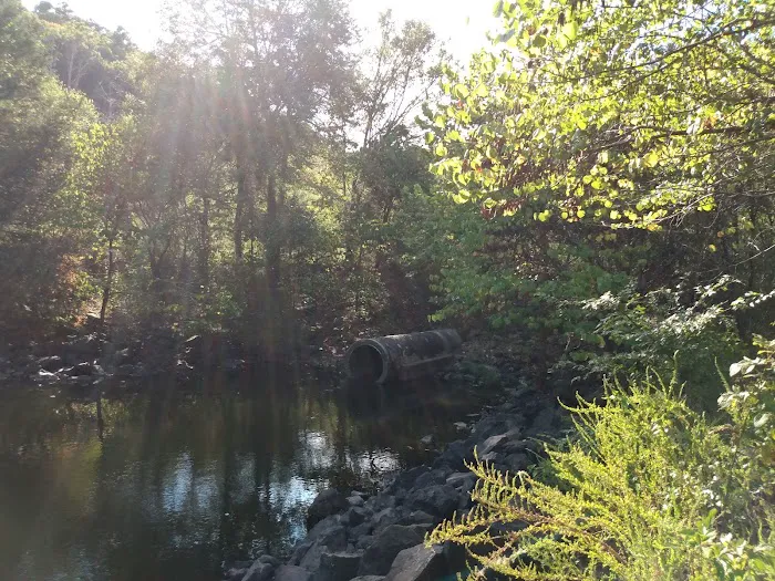 Little Pines Recreation Area 5