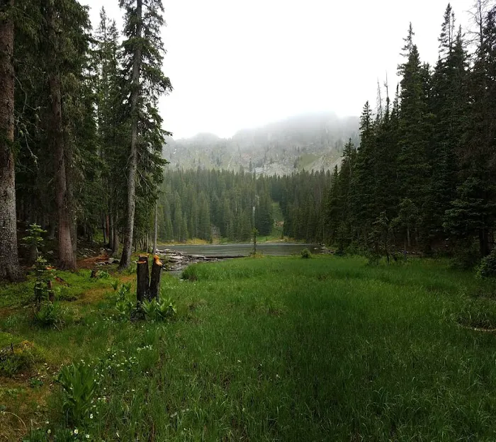 Trampas Trailhead Campground 2