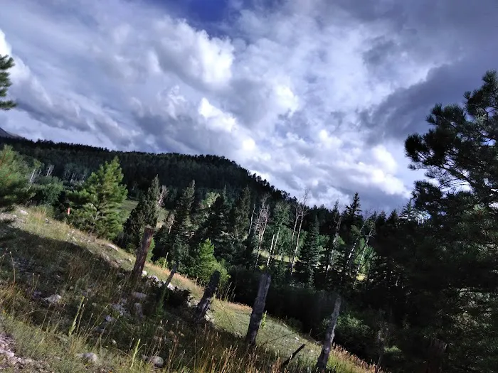 Trampas Trailhead Campground 6