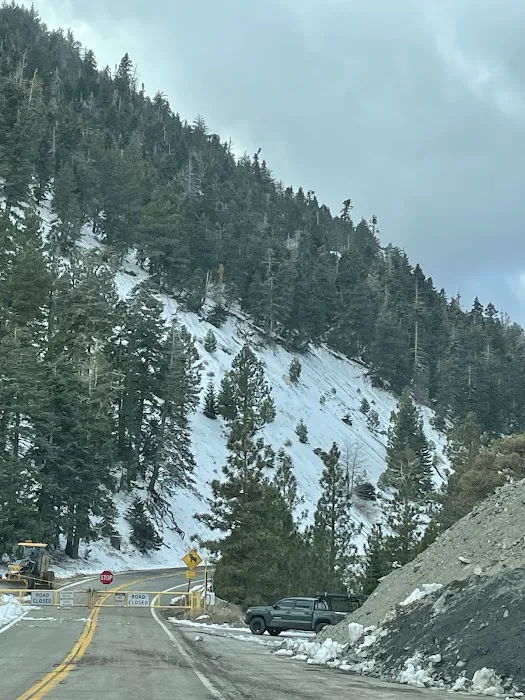 Lions Camp at Wrightwood 0