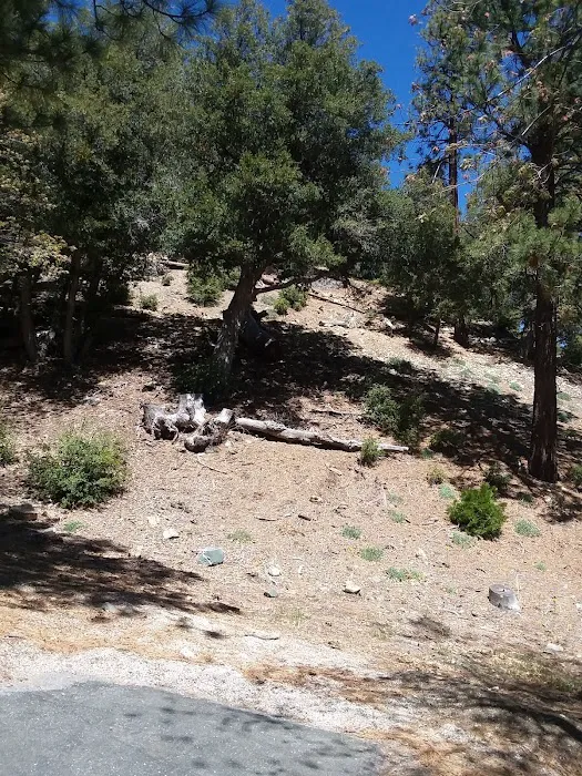 Lions Camp at Wrightwood 8